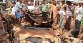 চট্টগ্রামে কোরবানীর পশুর চামড়া সংগ্রহের লক্ষ্যমাত্রার অর্ধেকও পুরণ হয়নি আড়ৎদারদের